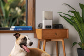 PETCUBE Bites 2 Lite Pet Camera And Treat Dispenser - Furbabies Online
